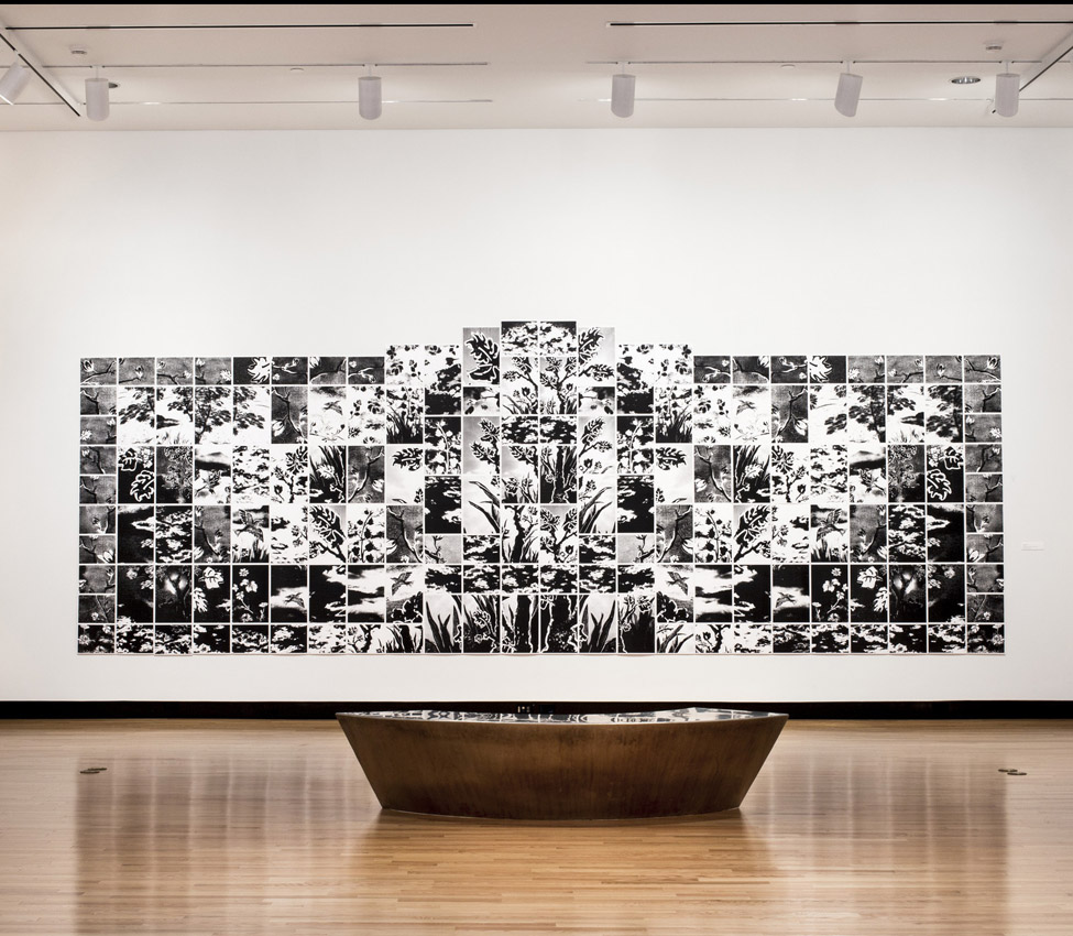Installation view of Lorna Bieber, Eden