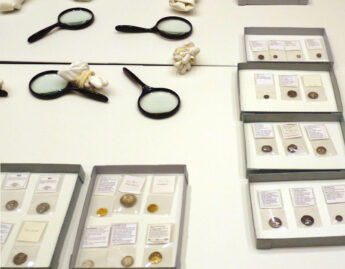 Coins on display in the Carson Teaching Gallery