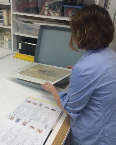 Emily Ewen '16 reorganizes Japanese prints in storage
