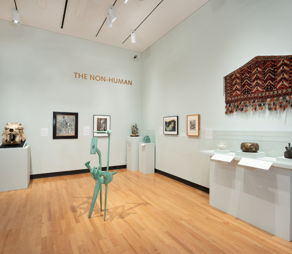 Installation view, Mount Holyoke College Art Museum, August 2018
