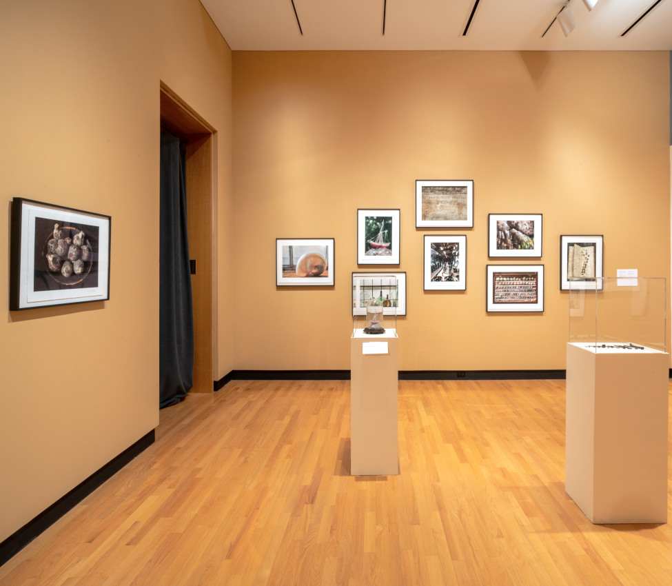 Installation view of Random Sampling: Photographs by Rosamond W. Purcell, Fall 2021