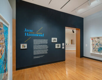 Installation view of Jane Hammond: Digital and Analog, Winter 2022