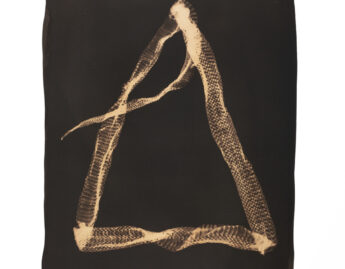 Jo Sandman (American, b. 1931), Untitled, from the Snake series, 2005