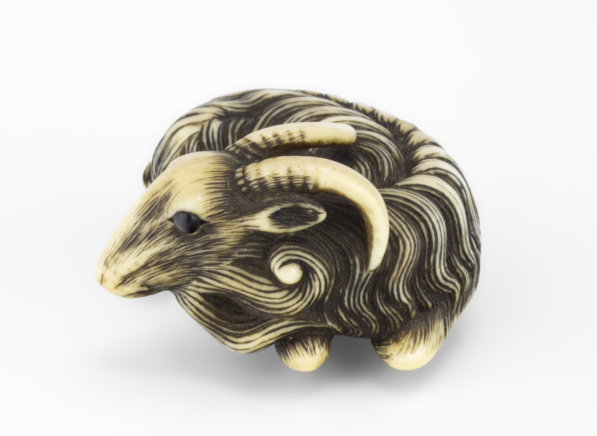 Japanese, Goat