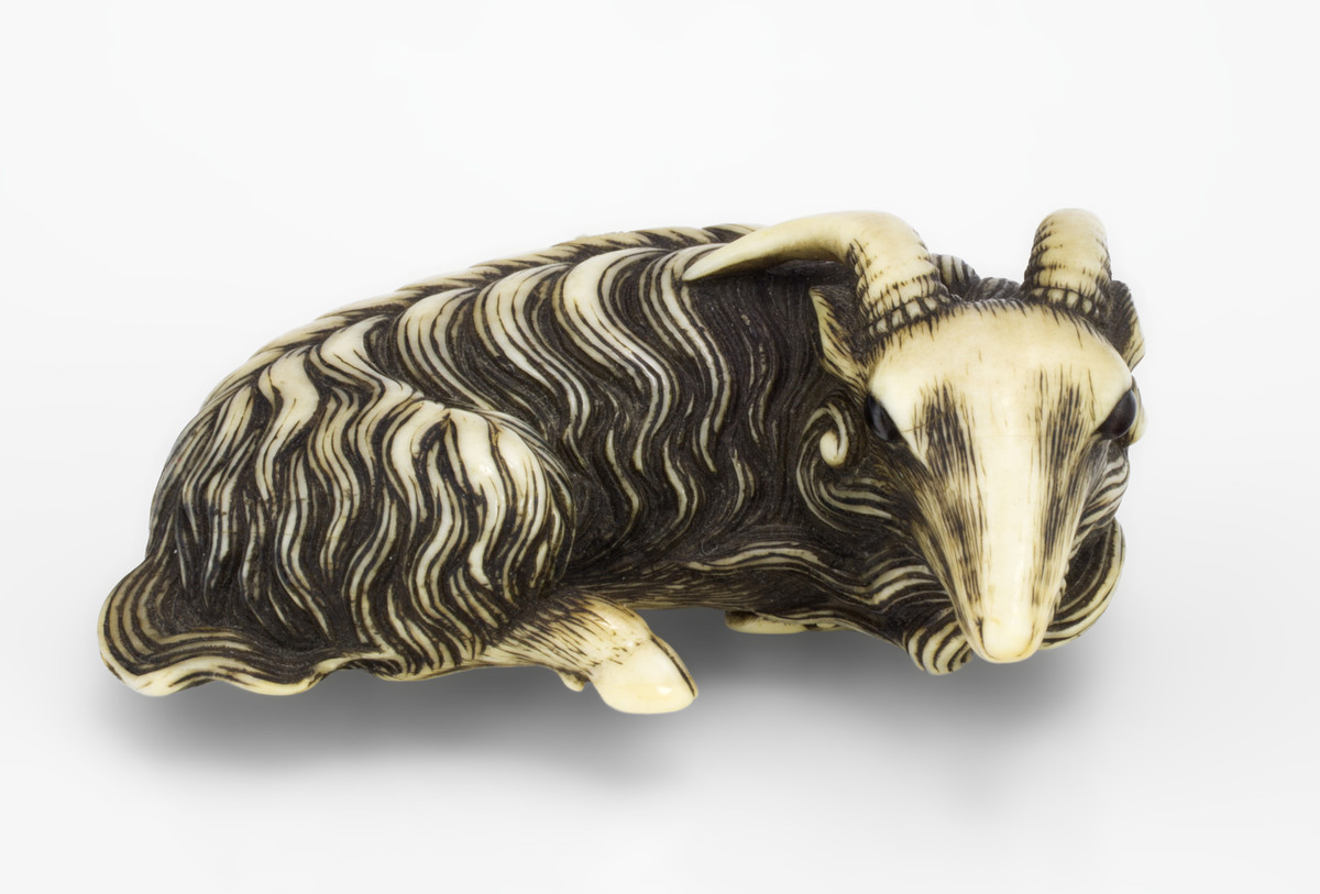 Japanese, Goat