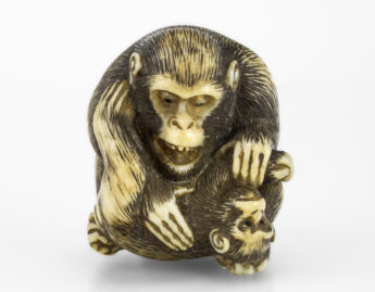 Japanese, Monkey grooming a child