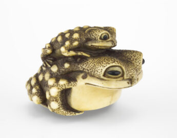 Masanao School, Mother and baby toad