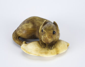 Masamin, Rat and pea pod