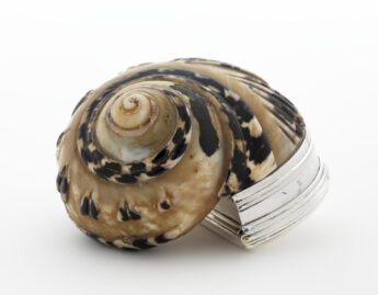Phipps, Thomas; Robinson, Edward; Snail shell snuffbox