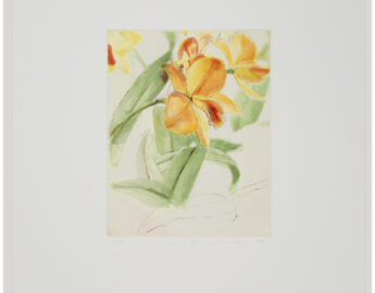 Mangold, Sylvia Plimack, Hazel Boyd Eureka