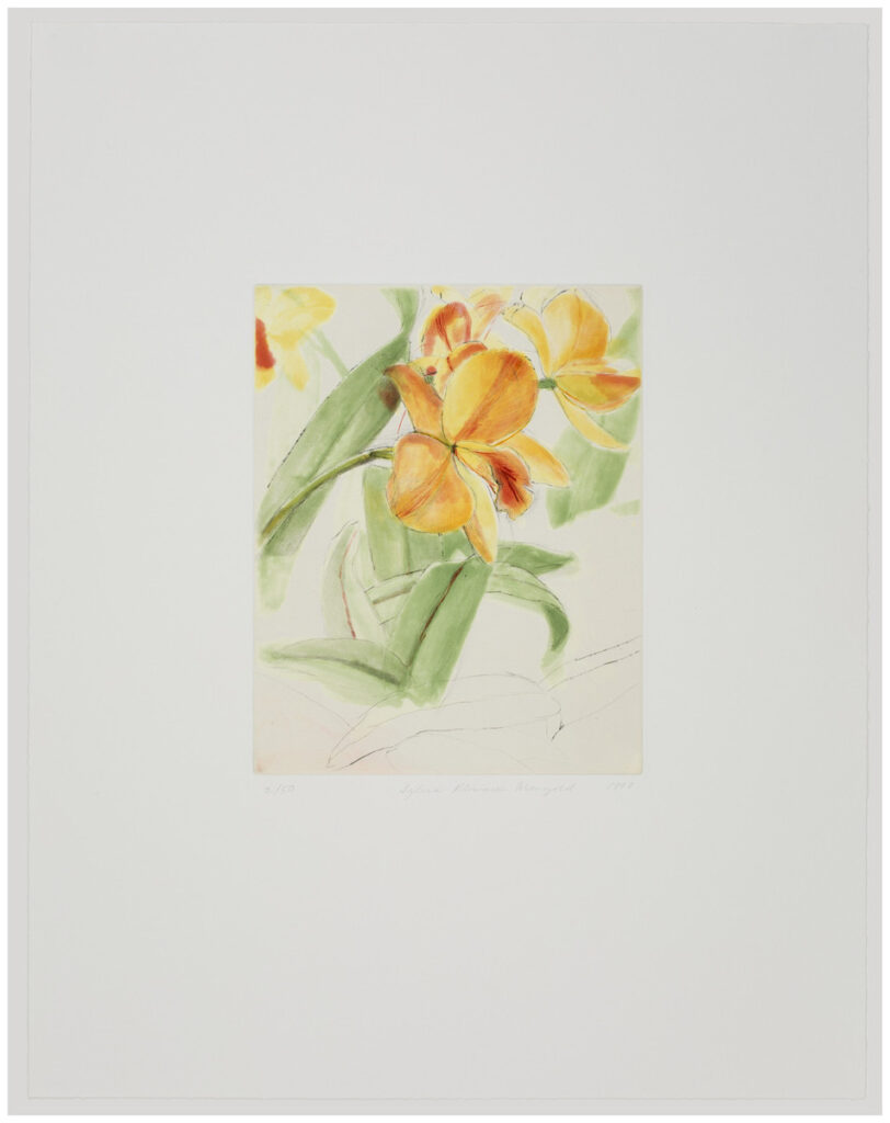 Mangold, Sylvia Plimack, Hazel Boyd Eureka