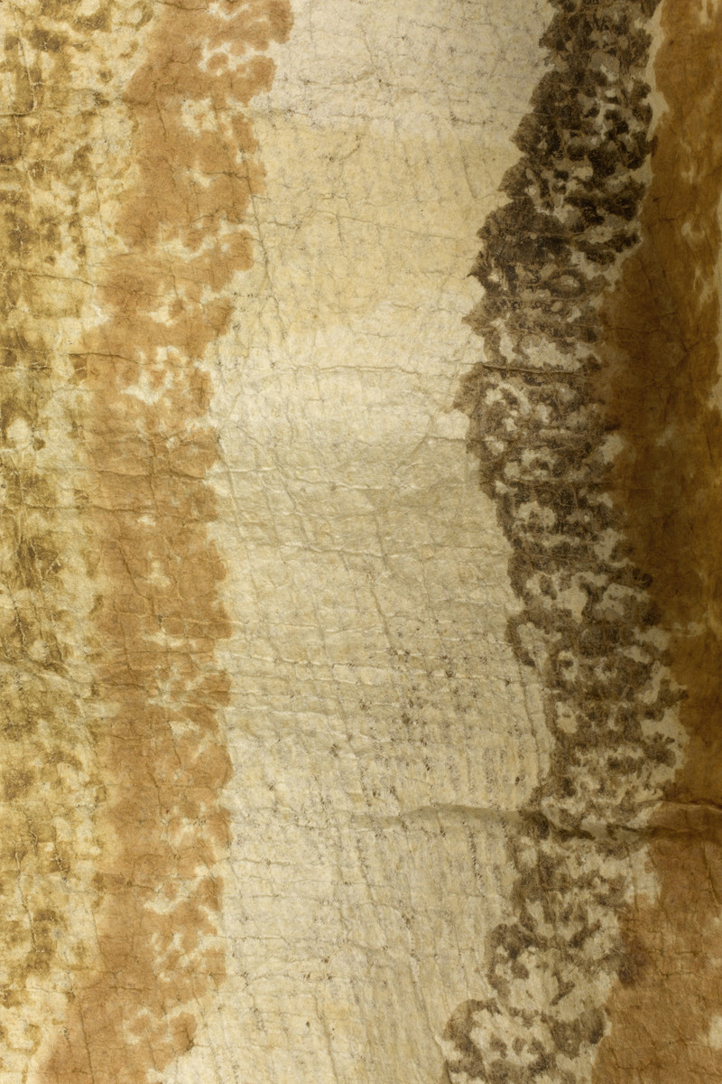 Polynesian, Bark cloth (kapa) shirt