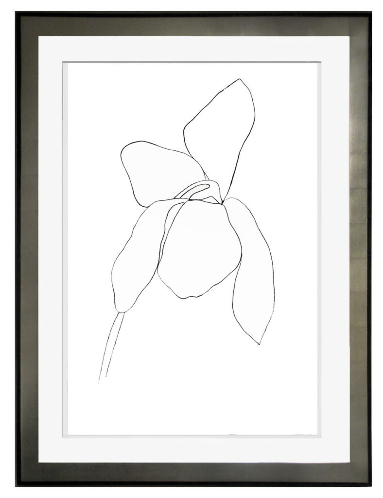 Ellsworth Kelly (American, b. 1923), Cyclamen II, 1964-65