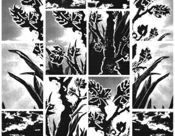 Lorna Bieber, Eden, 2012-13, archival toner on archival paper