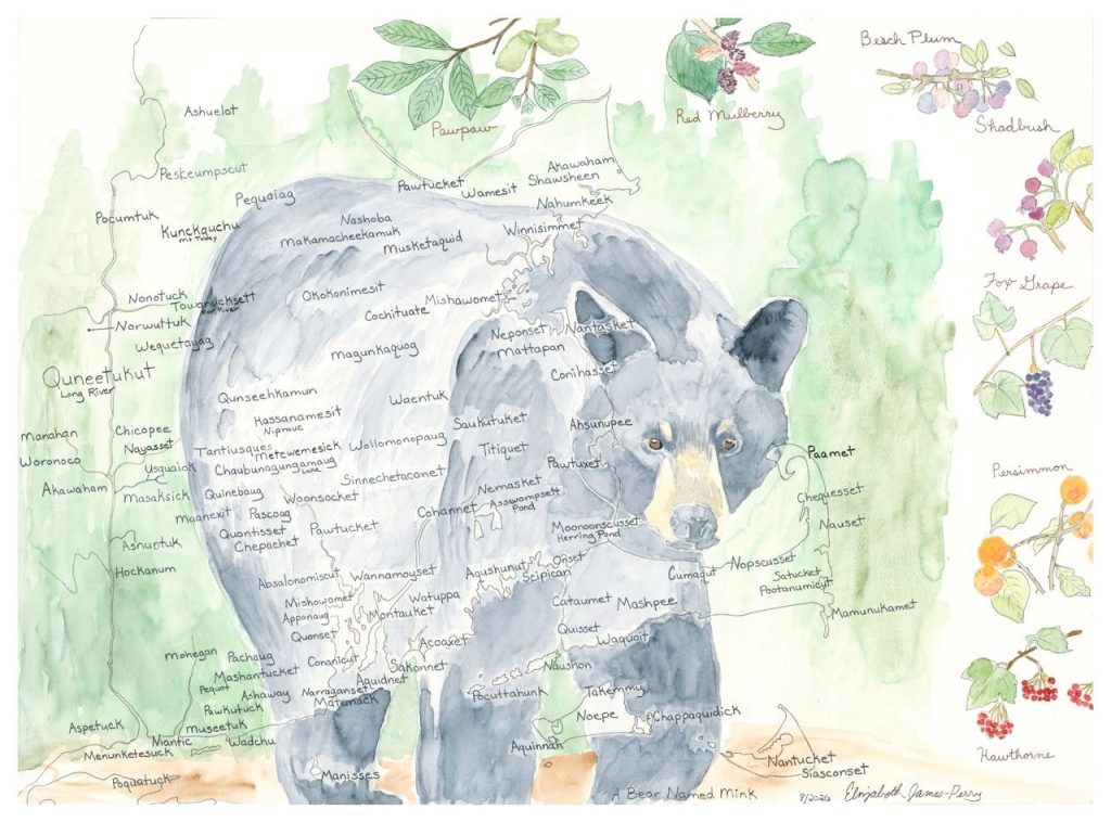 A black bear overlaid on a map with Indigenous place names